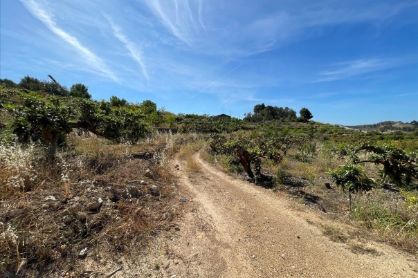 terreno in Callosa d'en Sarrià