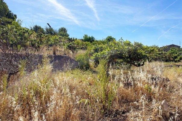 terreno in Callosa d'en Sarrià