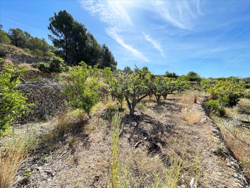 terreno in Callosa d'en Sarrià