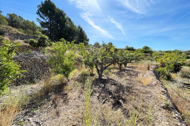 terreno in Callosa d'en Sarrià