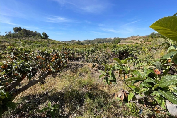 terreno in Callosa d'en Sarrià