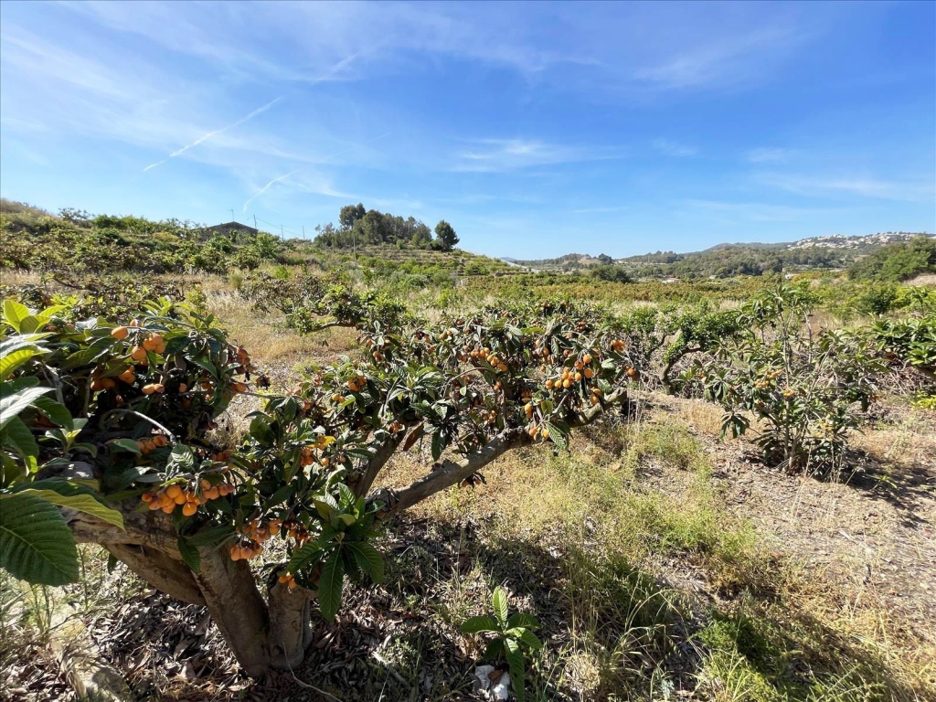 terreno in Callosa d'en Sarrià