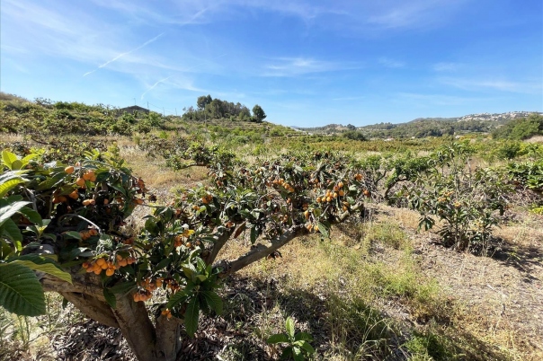 terreno in Callosa d'en Sarrià