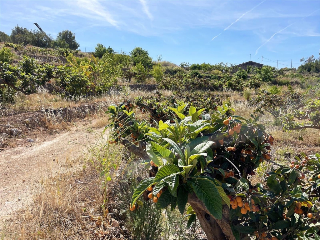 terreno in Callosa d'en Sarrià