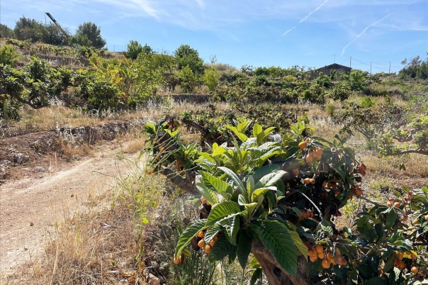 terreno in Callosa d'en Sarrià