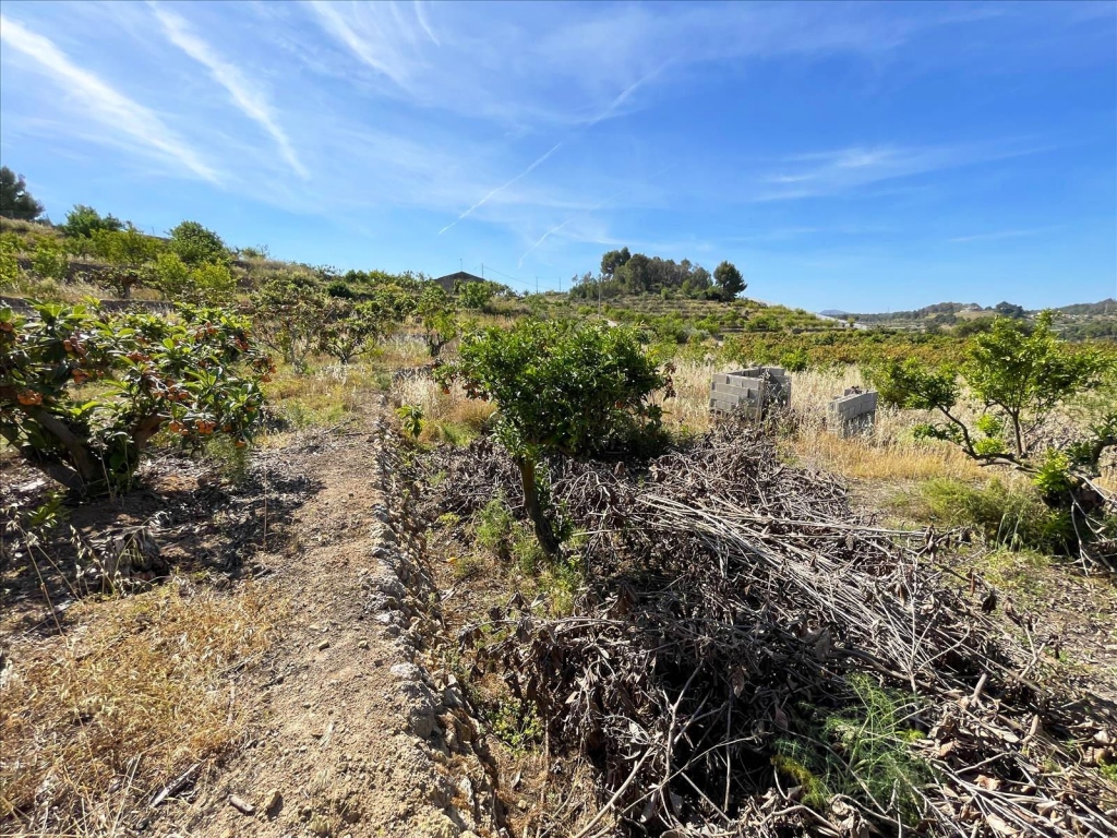 terreno in Callosa d'en Sarrià