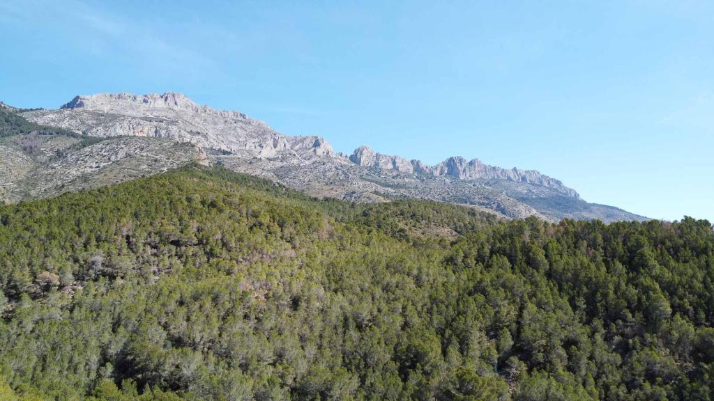 3 bed villa in Altea
