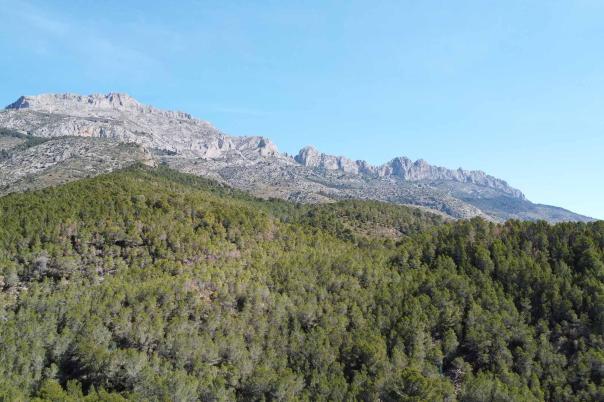 3 bed villa in Altea