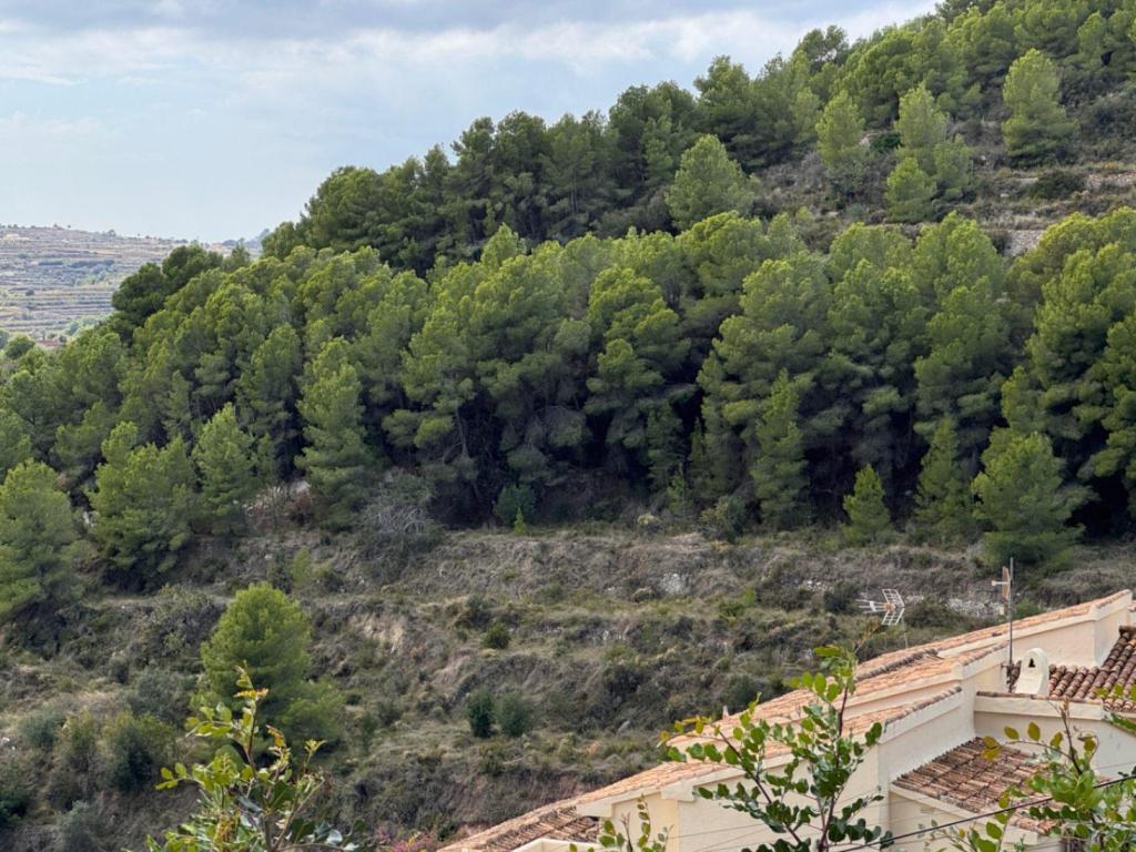 plot in Teulada