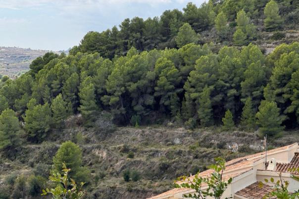 plot in Teulada