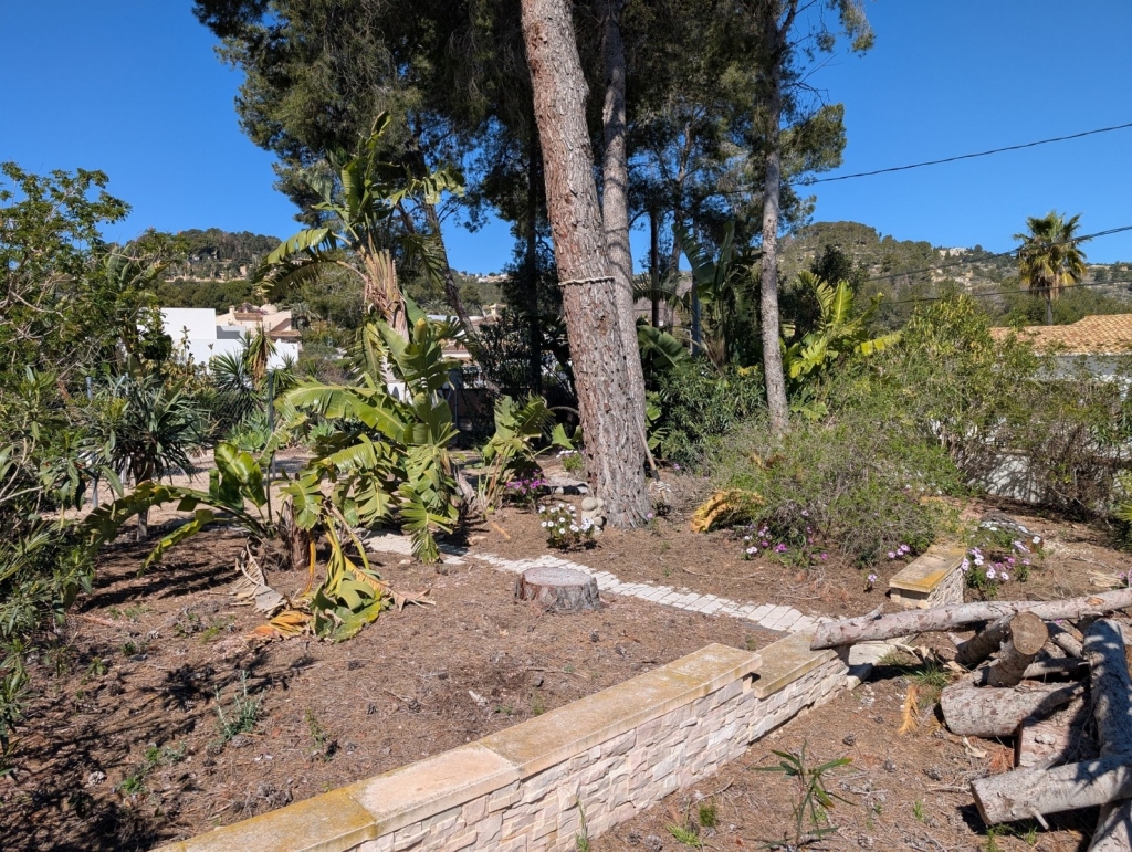 plot in Benissa