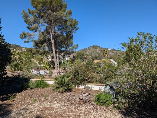 plot in Benissa