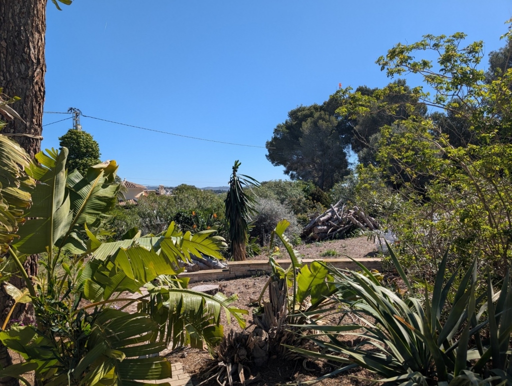plot in Benissa