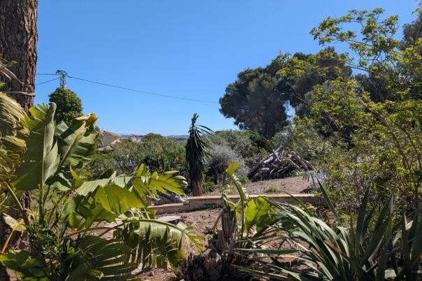 plot in Benissa