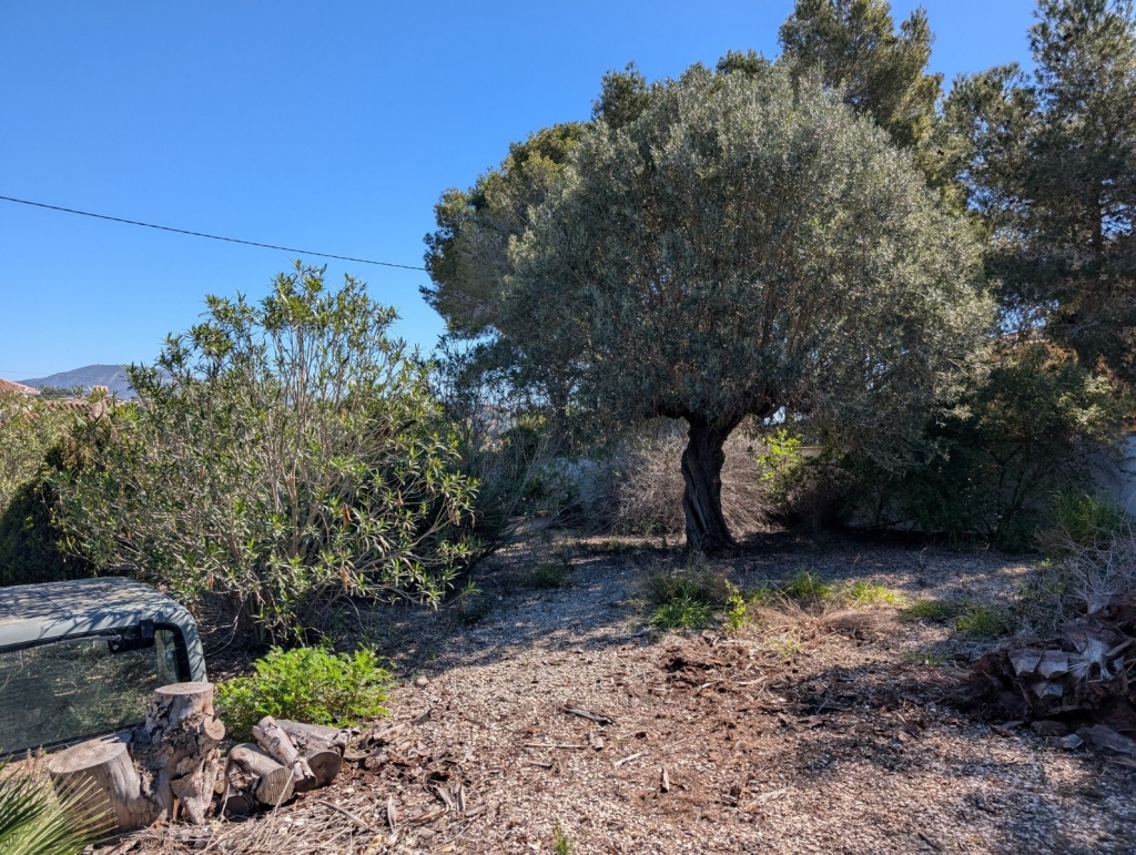 plot in Benissa