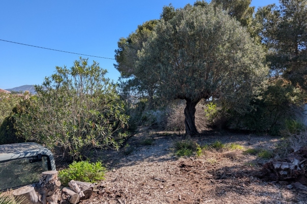 plot in Benissa