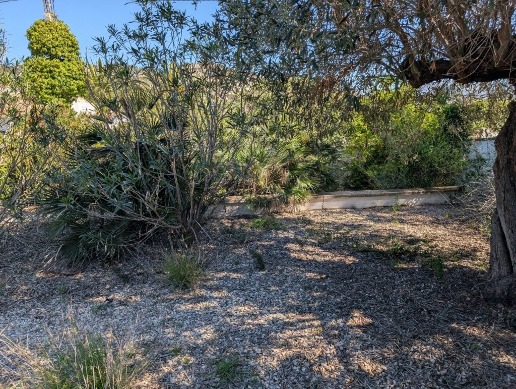 plot in Benissa