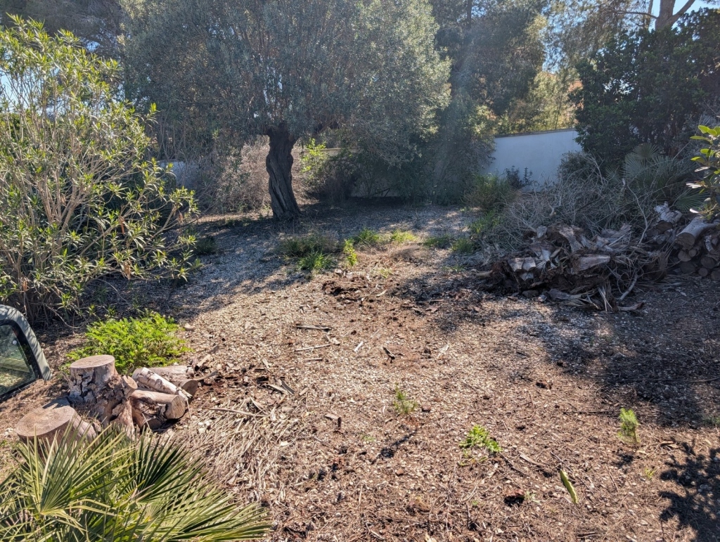 plot in Benissa