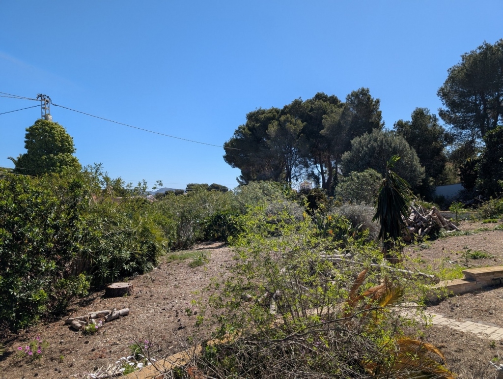 plot in Benissa