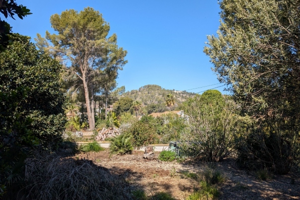 plot in Benissa