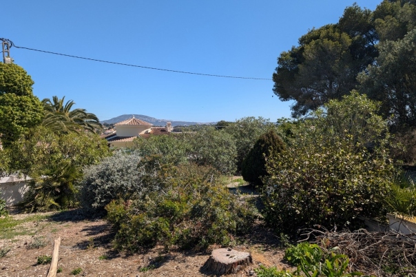 plot in Benissa