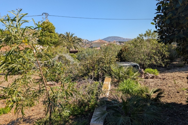 plot in Benissa
