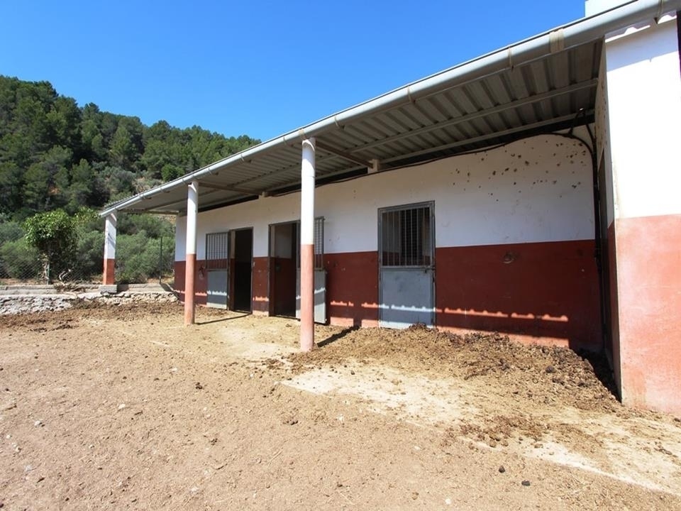 1 bed villa in Orba