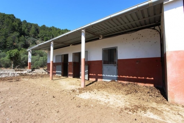 1 bed villa in Orba
