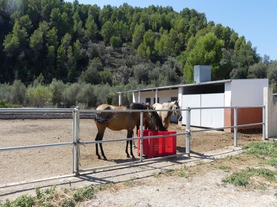 1 bed villa in Orba