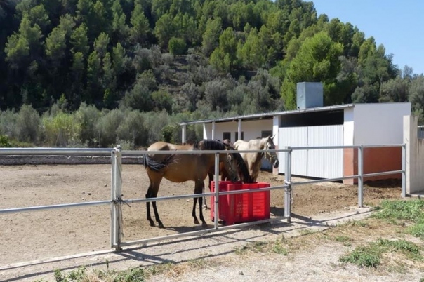 1 bed villa in Orba