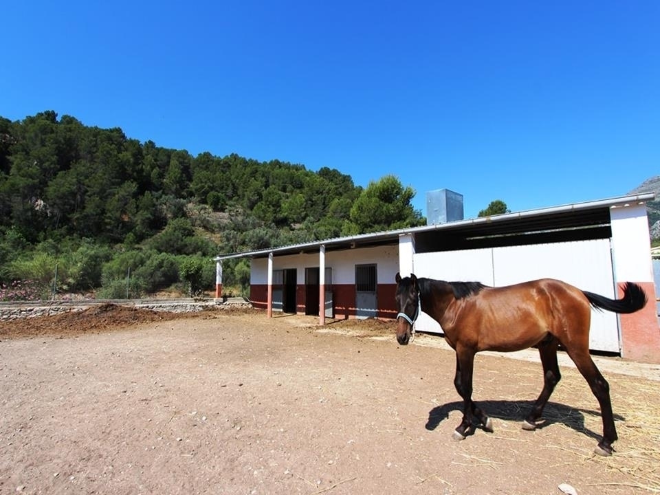 1 bed villa in Orba