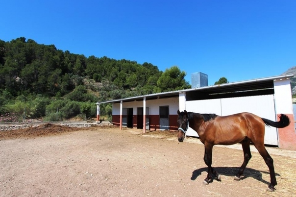 1 bed villa in Orba