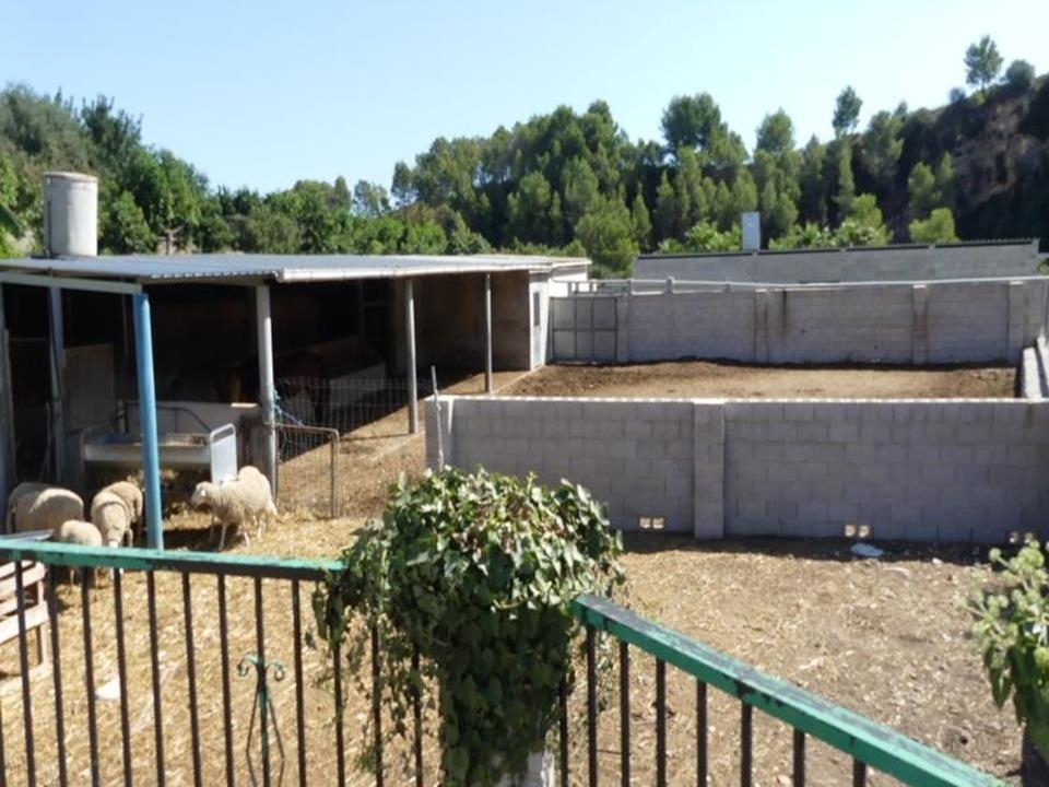 1 bed villa in Orba