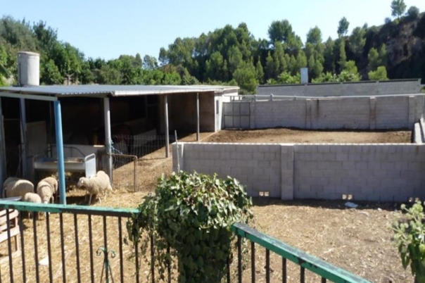 1 bed villa in Orba