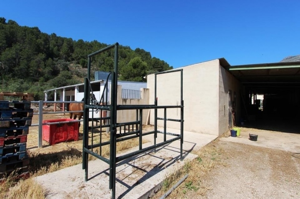 1 bed villa in Orba