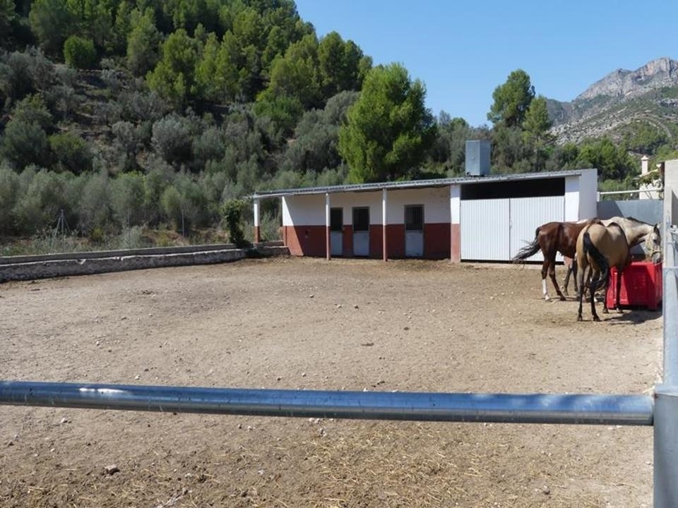 1 bed villa in Orba