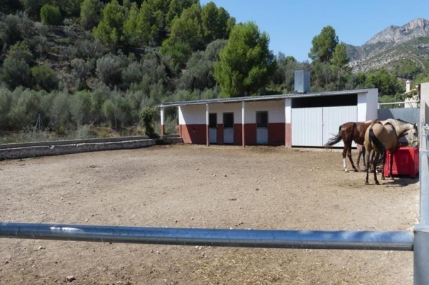 1 bed villa in Orba