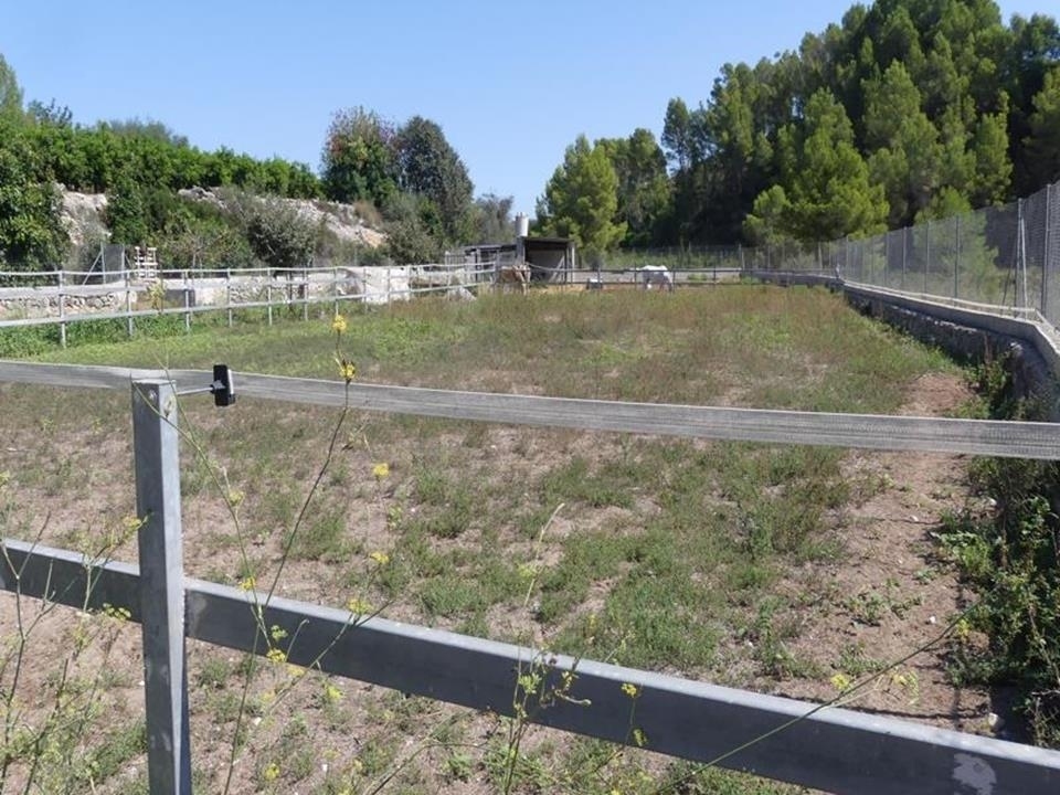 1 bed villa in Orba