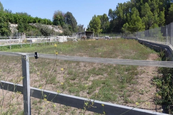 1 bed villa in Orba
