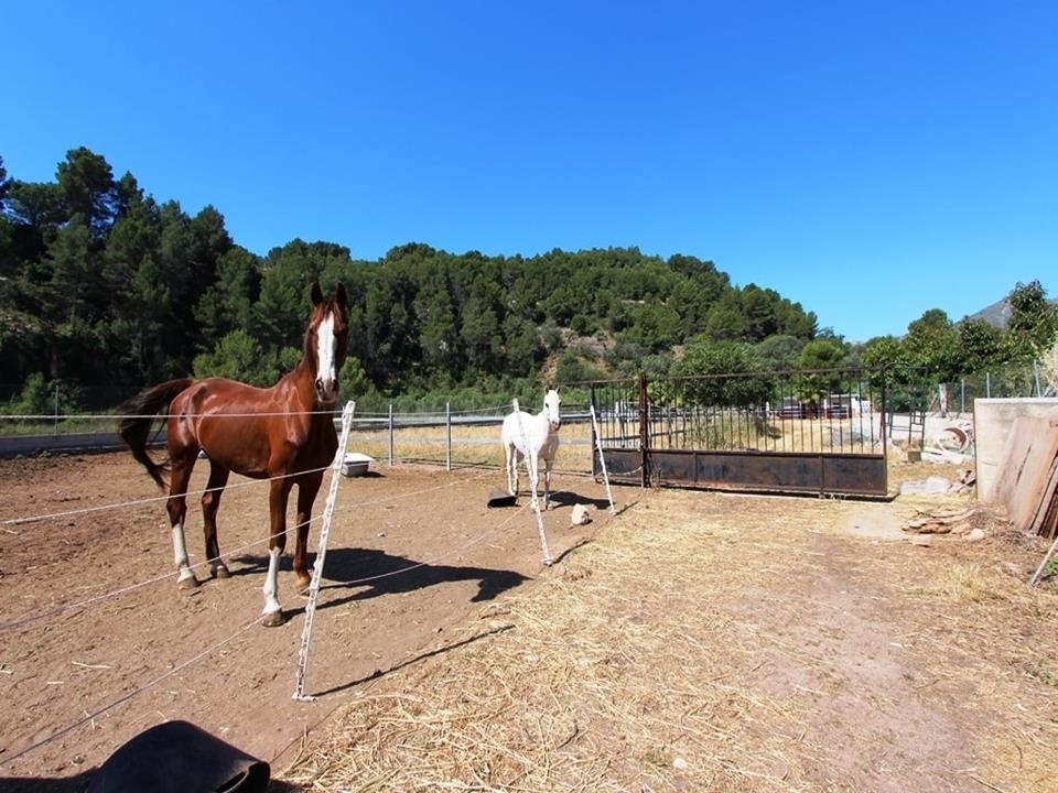 1 bed villa in Orba