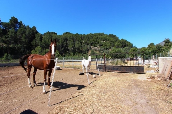 1 bed villa in Orba