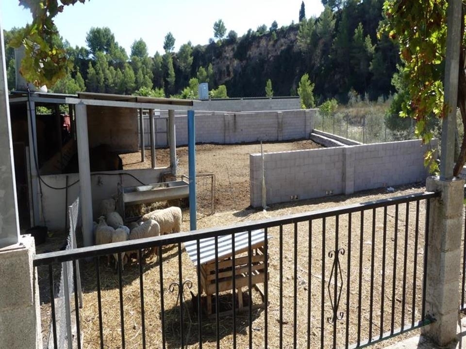 1 bed villa in Orba