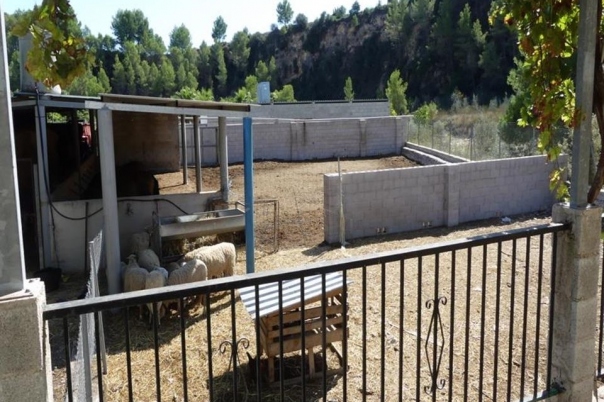 1 bed villa in Orba