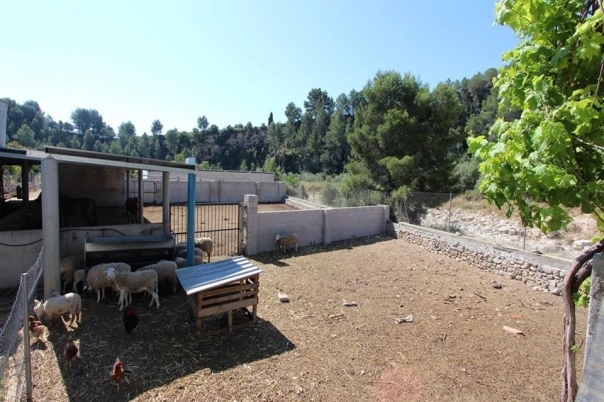1 bed villa in Orba