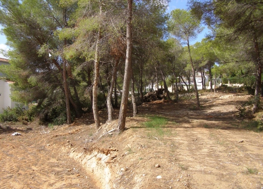 plot in Moraira