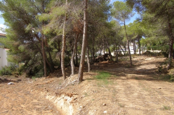 plot in Moraira