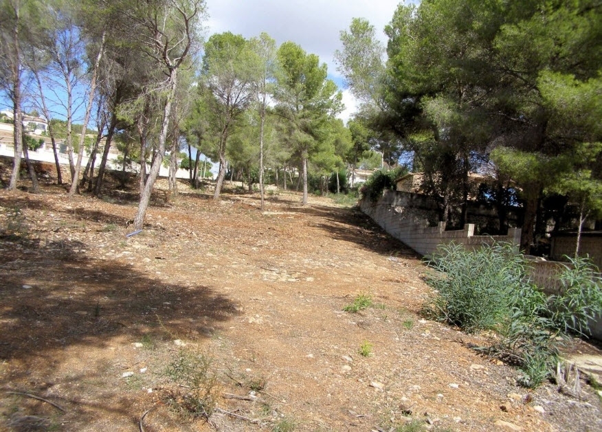 plot in Moraira