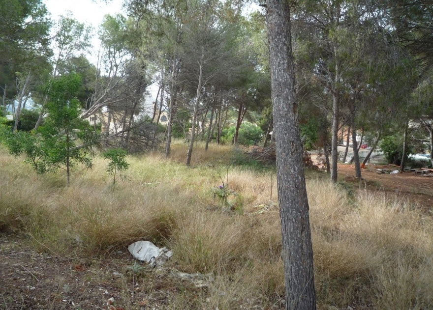 plot in Moraira
