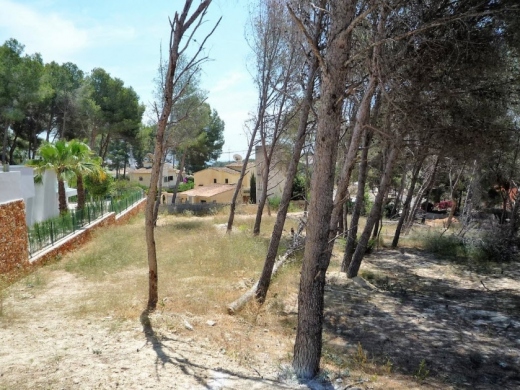 plot in Moraira