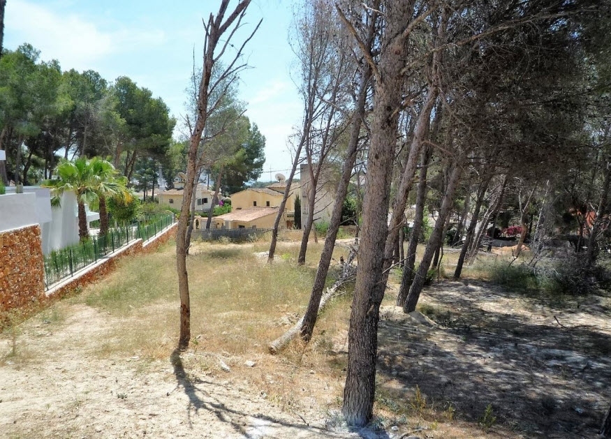 plot in Moraira